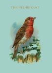 Robin Vintage Painting