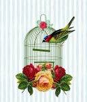 Roses Bird Cage Vintage