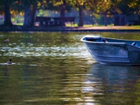Rowboat In Lake