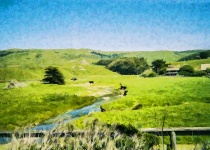 Rural Meadow Landscape