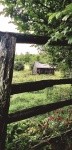 Rustic Shed And Fenceline