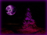 Santa Crosses Purple Moon
