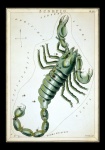 Scorpio Vintage Zodiac Art Print