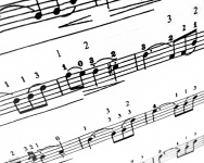 Sheet Music Notes In A Song
