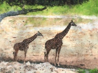 Sketchy Giraffe Painting