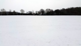Snow Covered English Field 1