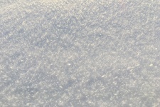Snow Texture Background