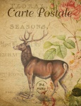 Stag, Deer Vintage Postcard
