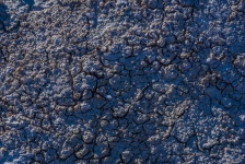 Textured Dirt Background