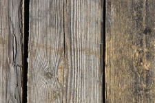 Textured Weathered Wooden Planks