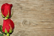 Two Red Rose Buds On Wood 2