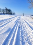 Vehicle Tracks In Snow