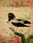 Vintage Floral French Bird Postcard