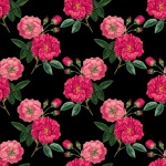 Vintage Roses Background Pink