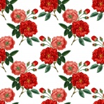 Vintage Roses Background Red