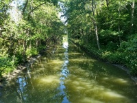 Watercourses In Greenery