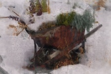 Wheelbarrow In Snow