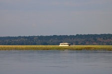 Wide Chobe River With Reeds