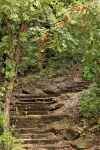 Winding Stone Steps In The Woods