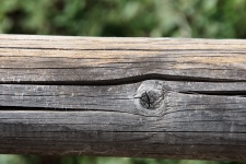 Wooden Fence Pole
