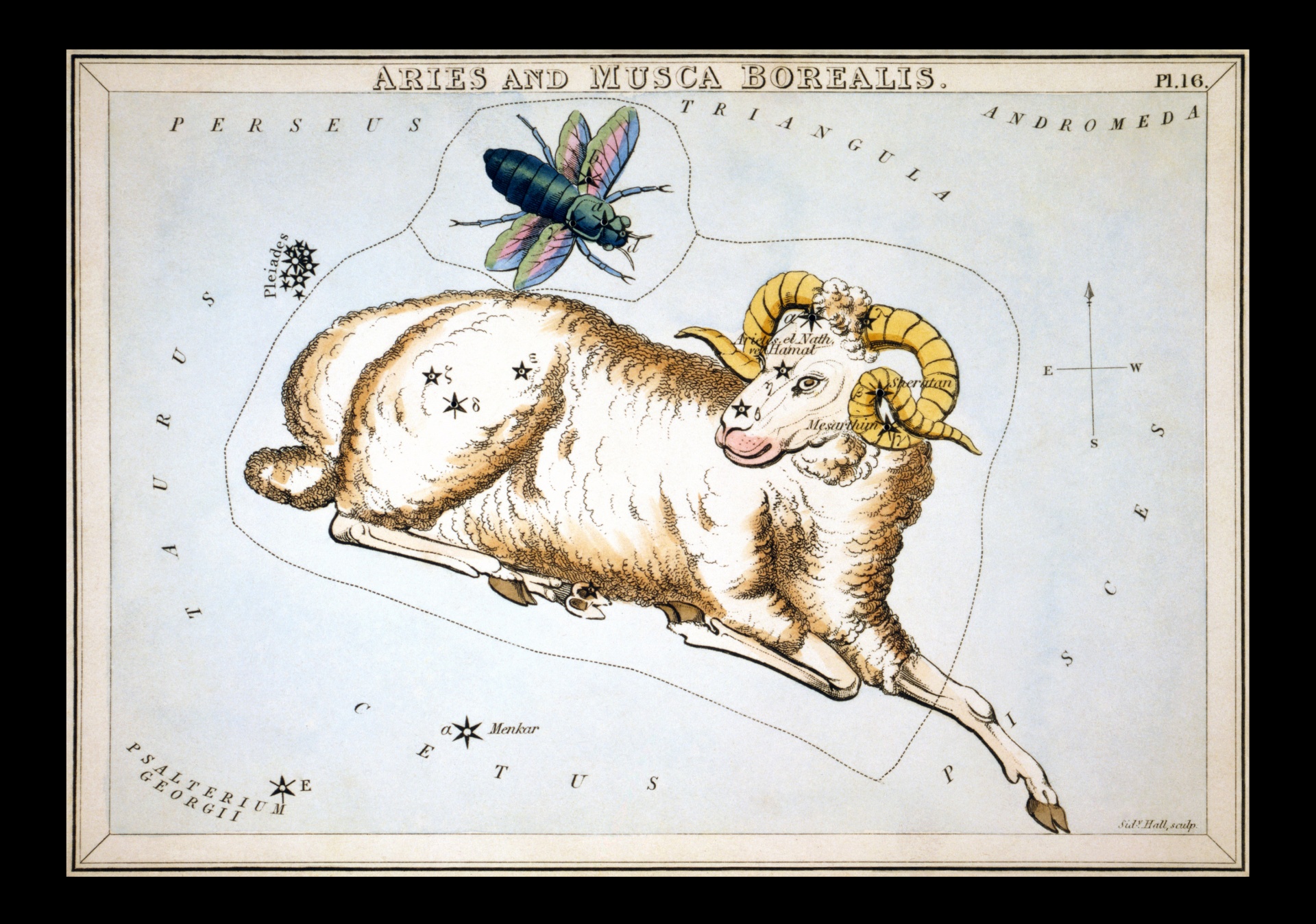 Aries Vintage Zodiac Art Print