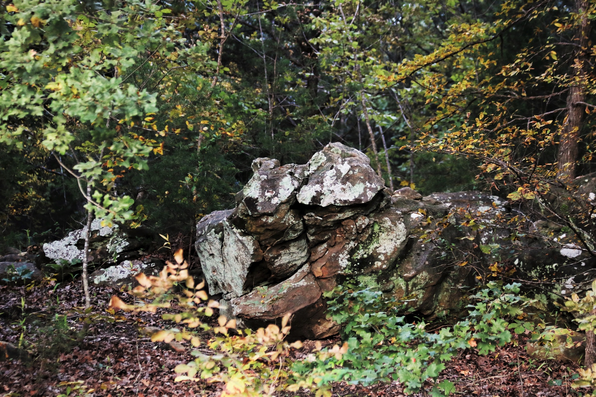 Beautiful Rock Formation In Woods