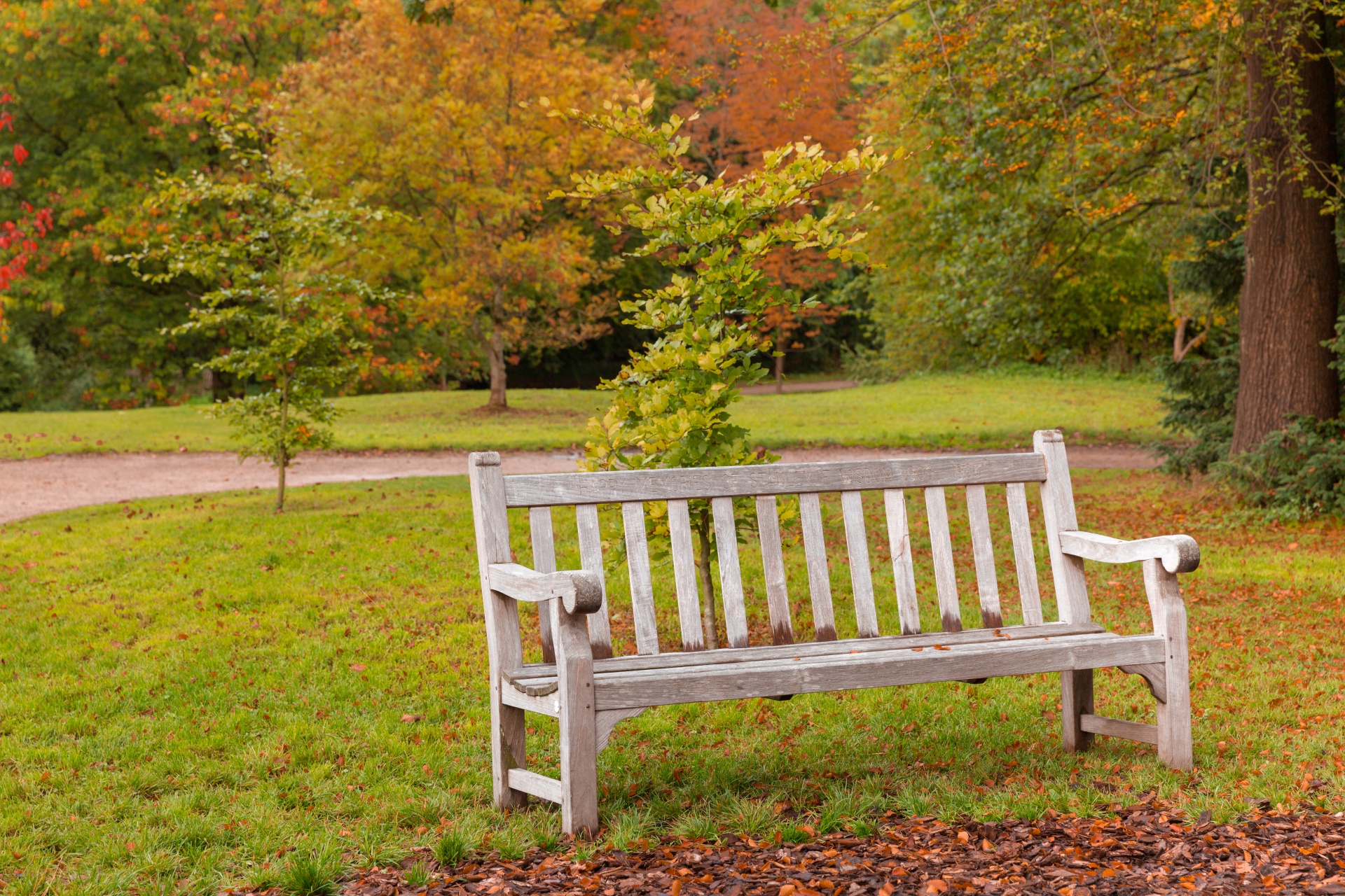 Wooden bench in the park in Autumn
