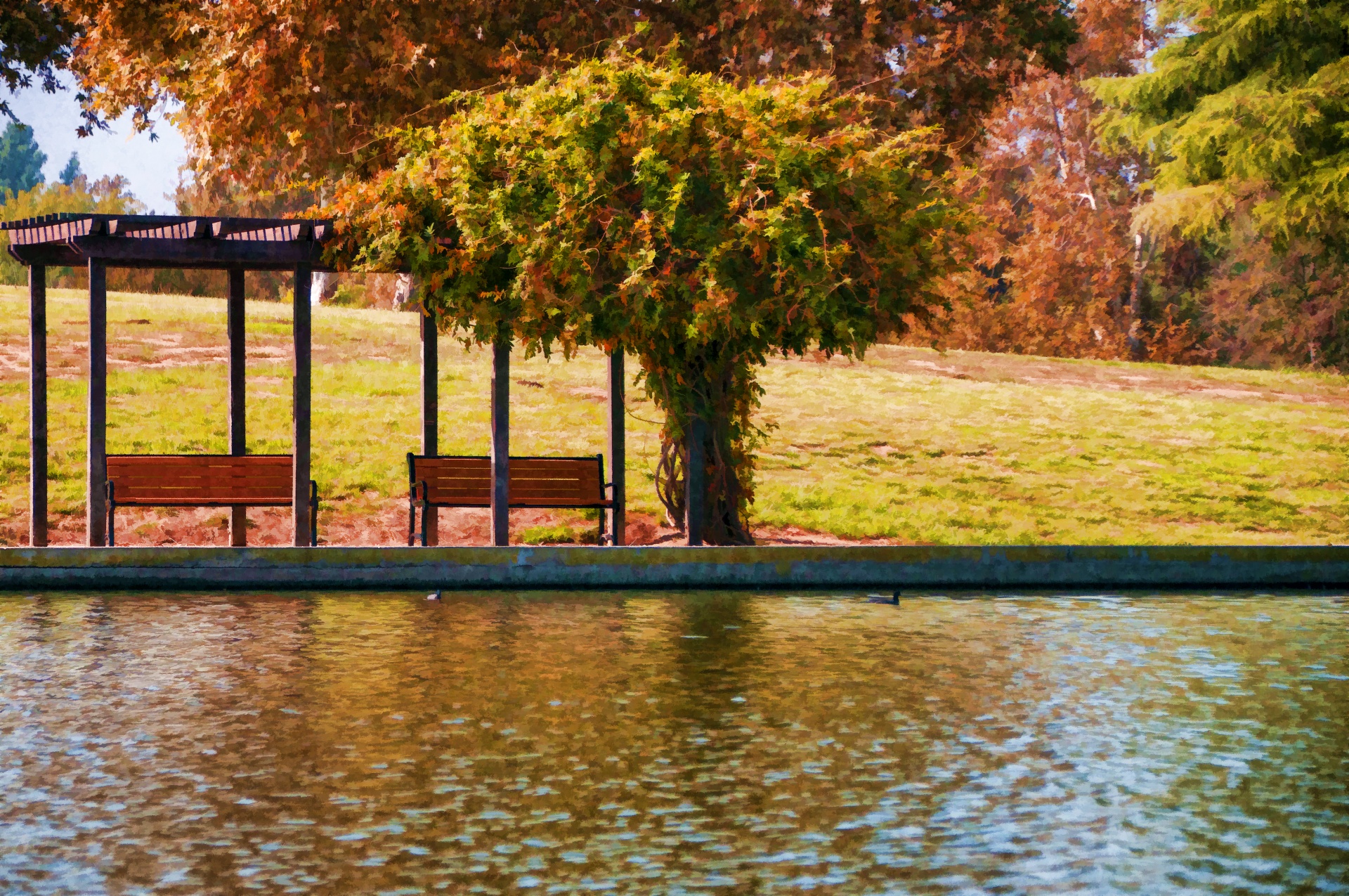 fall painterly image of two benches next to lake with ducks swimming by