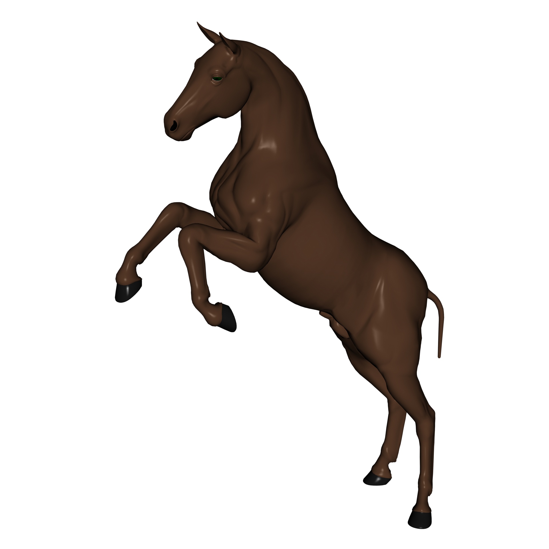 Brown Horse Standing