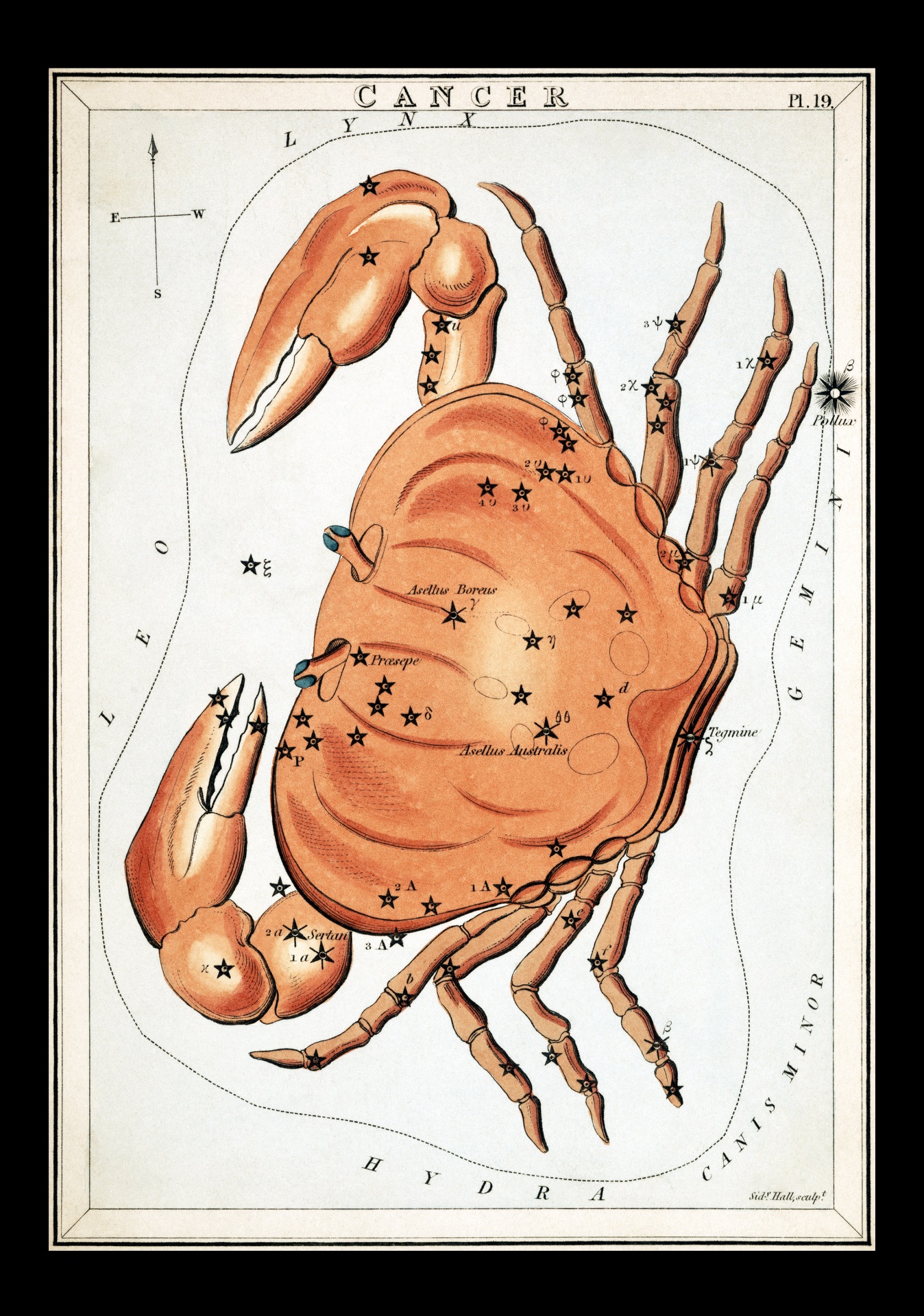 Cancer Vintage Zodiac Art Print