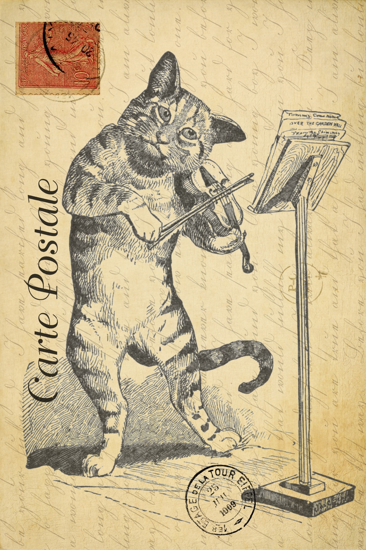 Cat, Fiddle Vintage Postcard