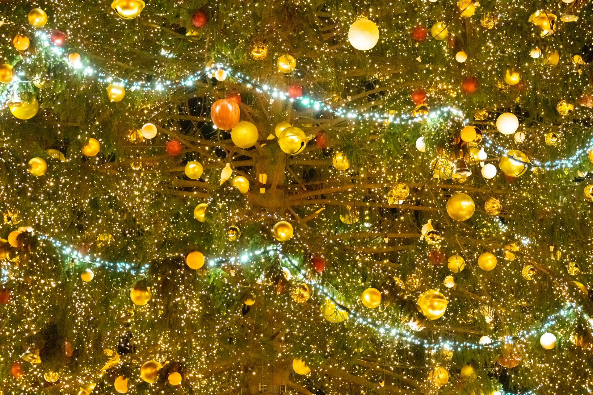 Christmas Tree Detail Free Stock Photo Public Domain Pictures