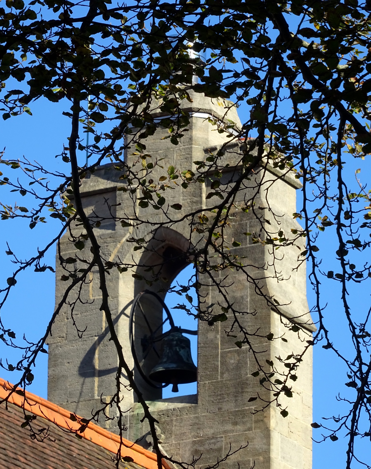 Church Bell Tower With Tree Branches In The Foreground
