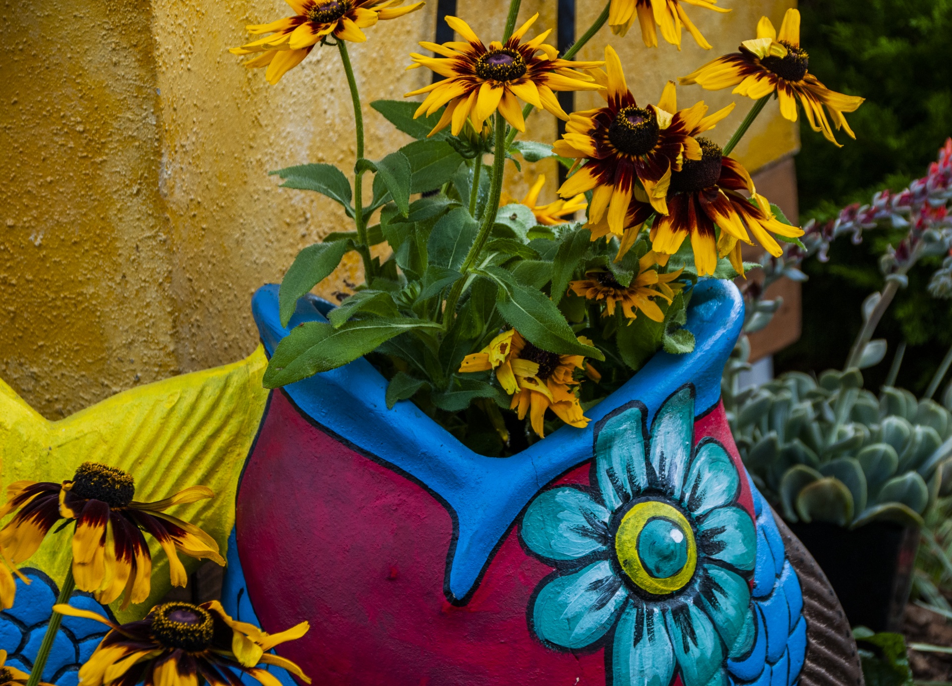 Clay Pot Of Blooming Flowers