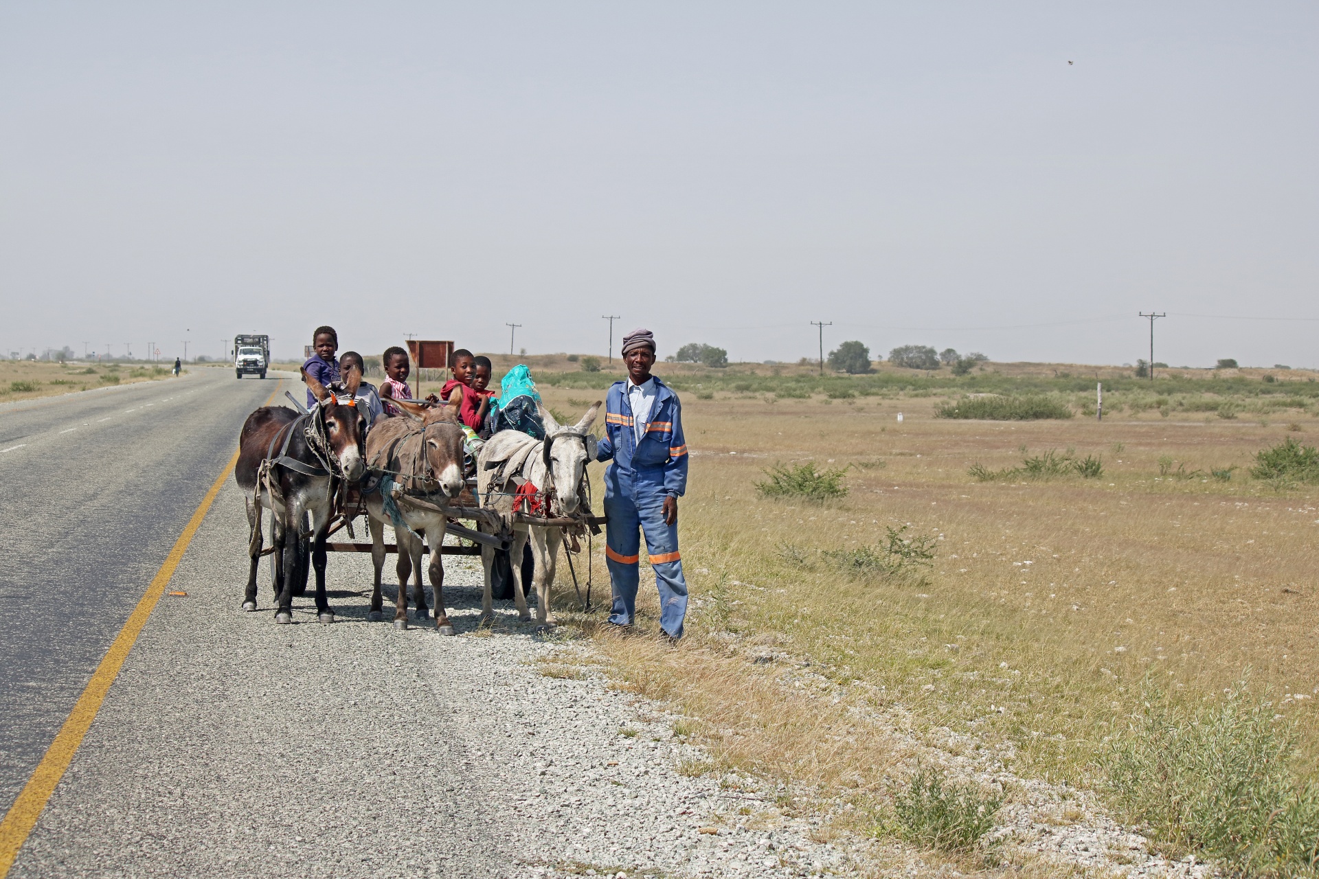 Donkey Cart On A Main Route