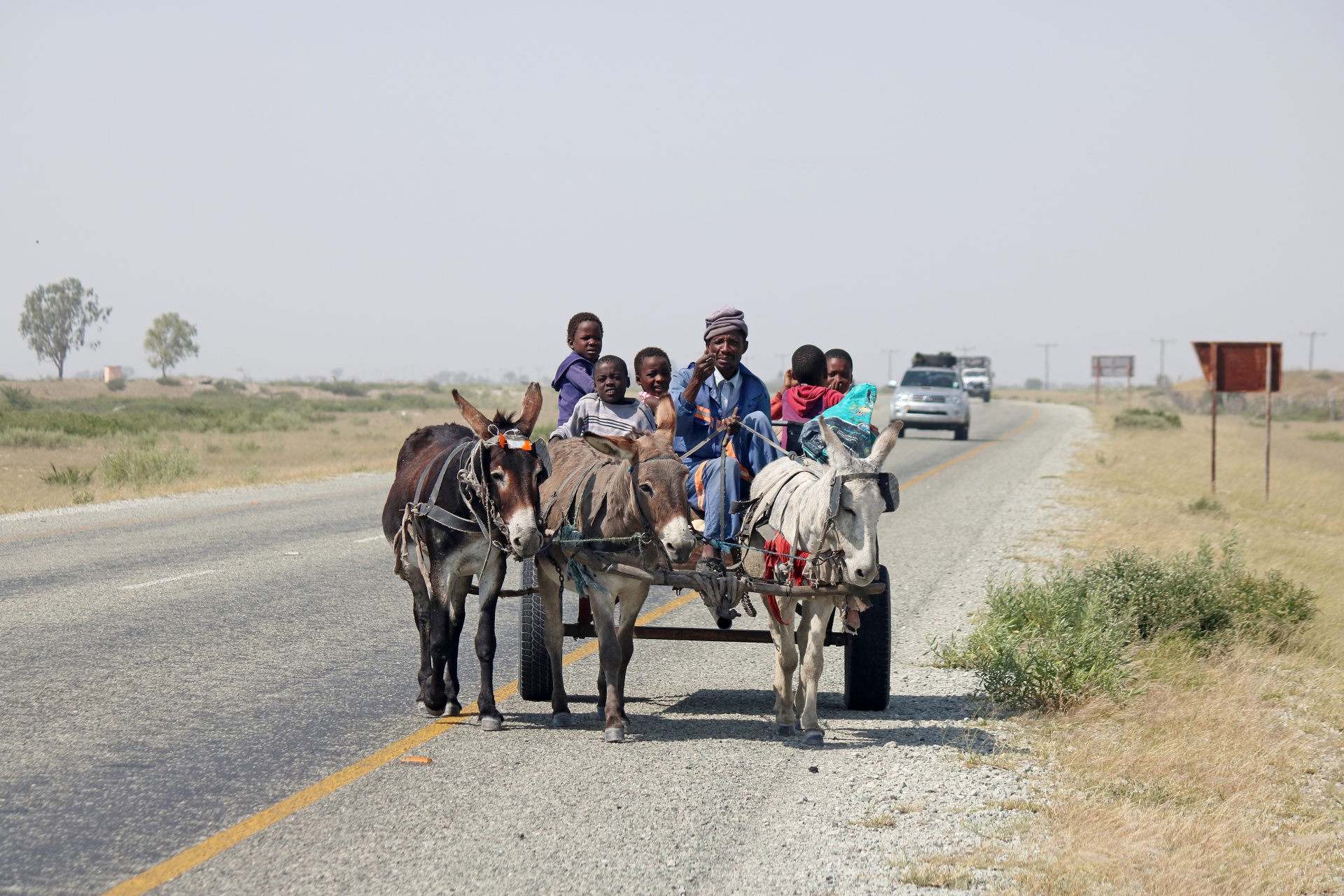 Donkey Cart On The Road In Botswana