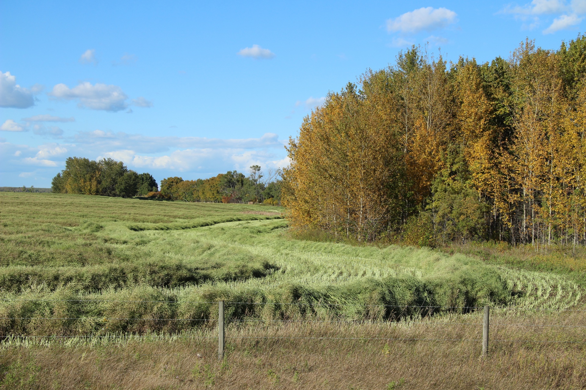 Farmers Field In Fall