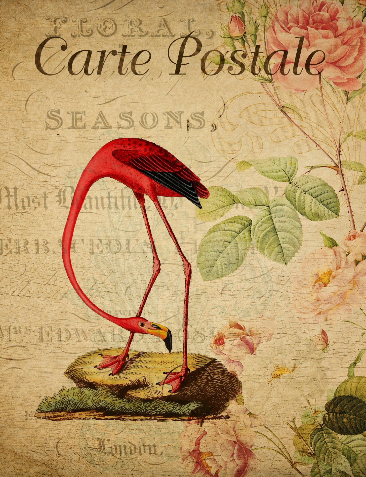 Beautiful vintage drawing of a red flamingo on vintage french floral postcard