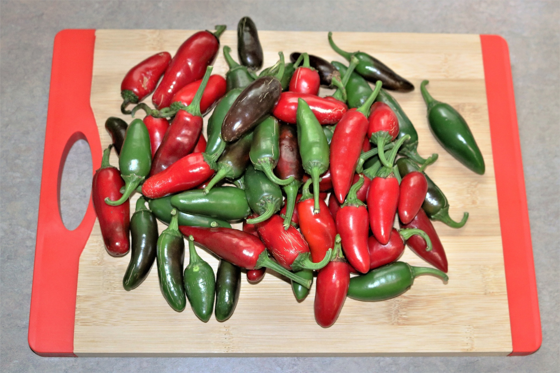 Freshly Picked Jalapeno Peppers