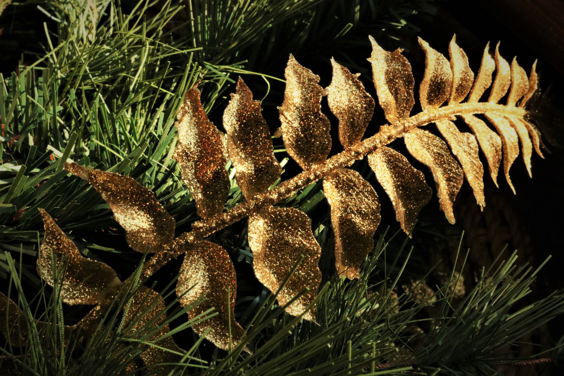 Close-up of a stem of glittering gold leaves on the green branches of a Christmas tree.