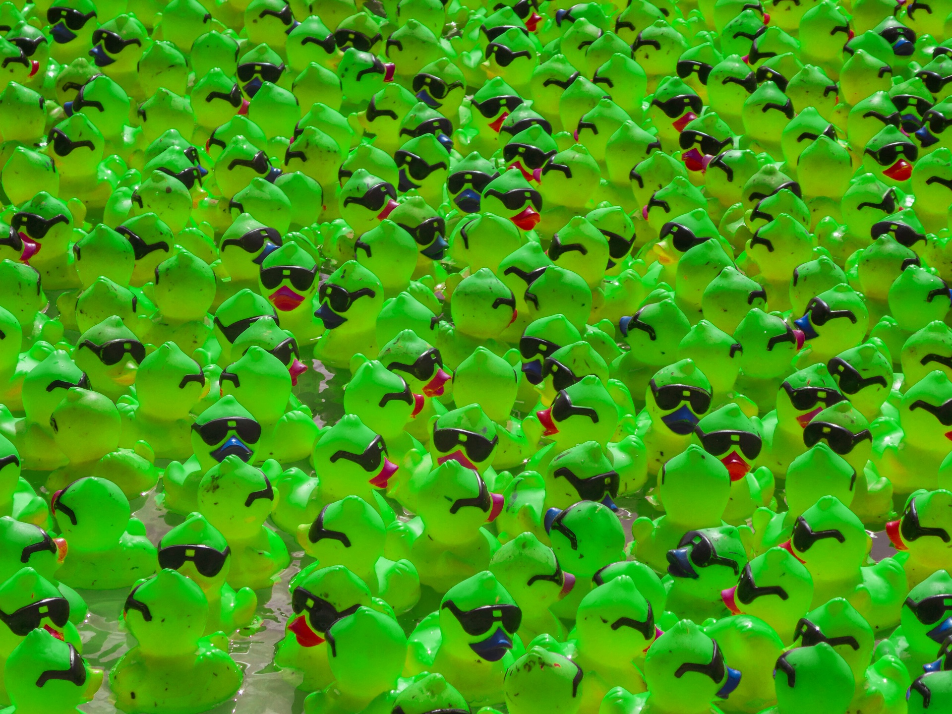Green Rubber Ducky Background
