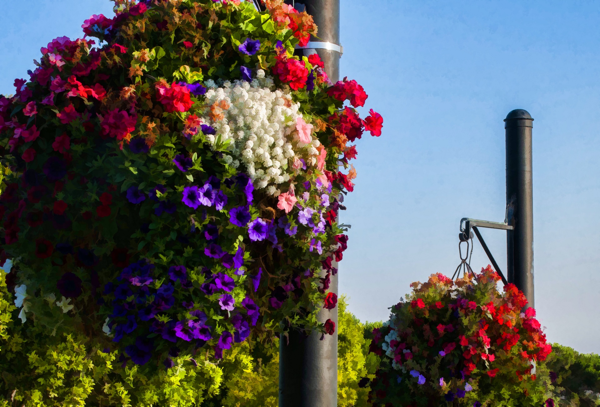 two hanging baskets of flowers