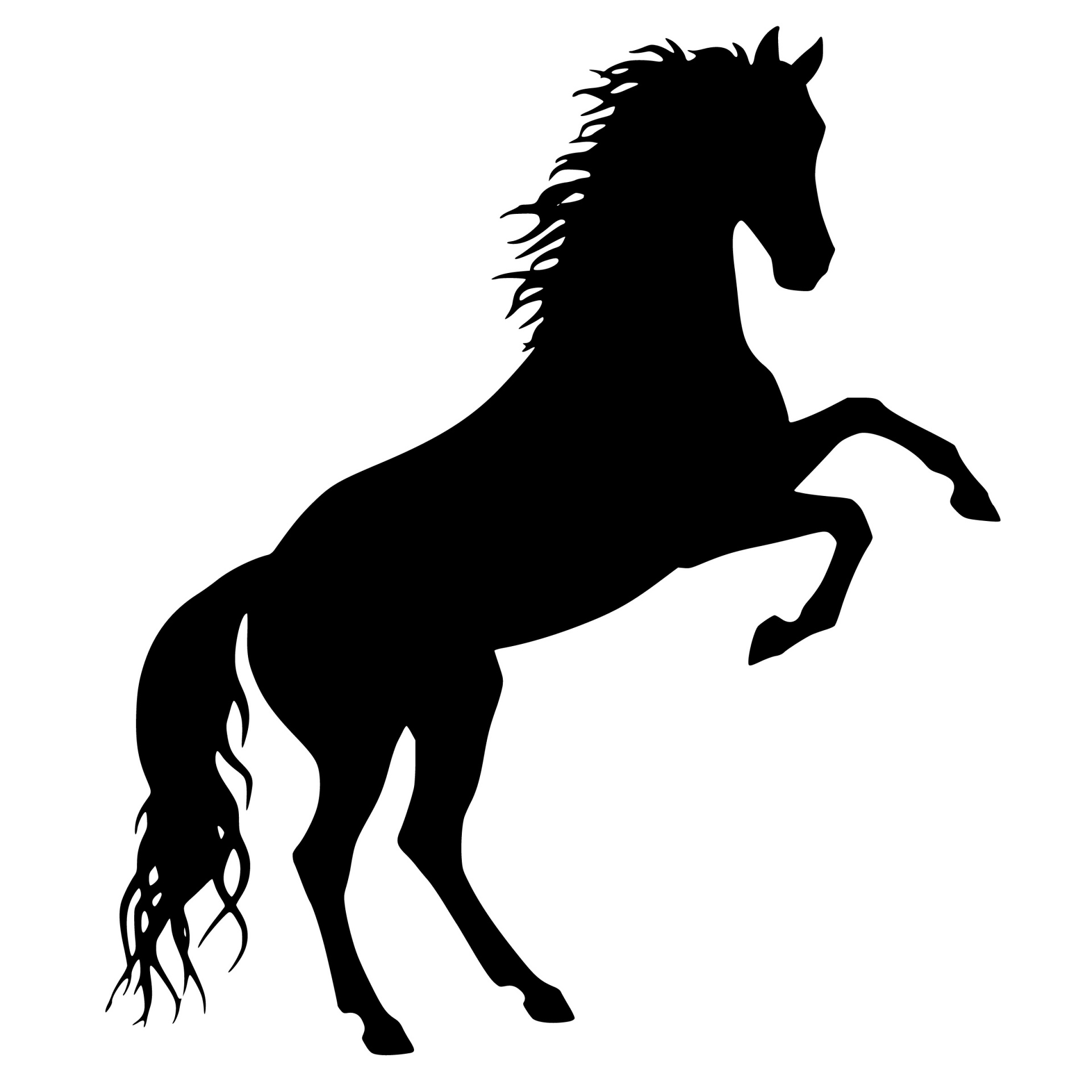 silhouette, horse, animal, equine, rearing, ride, transportation