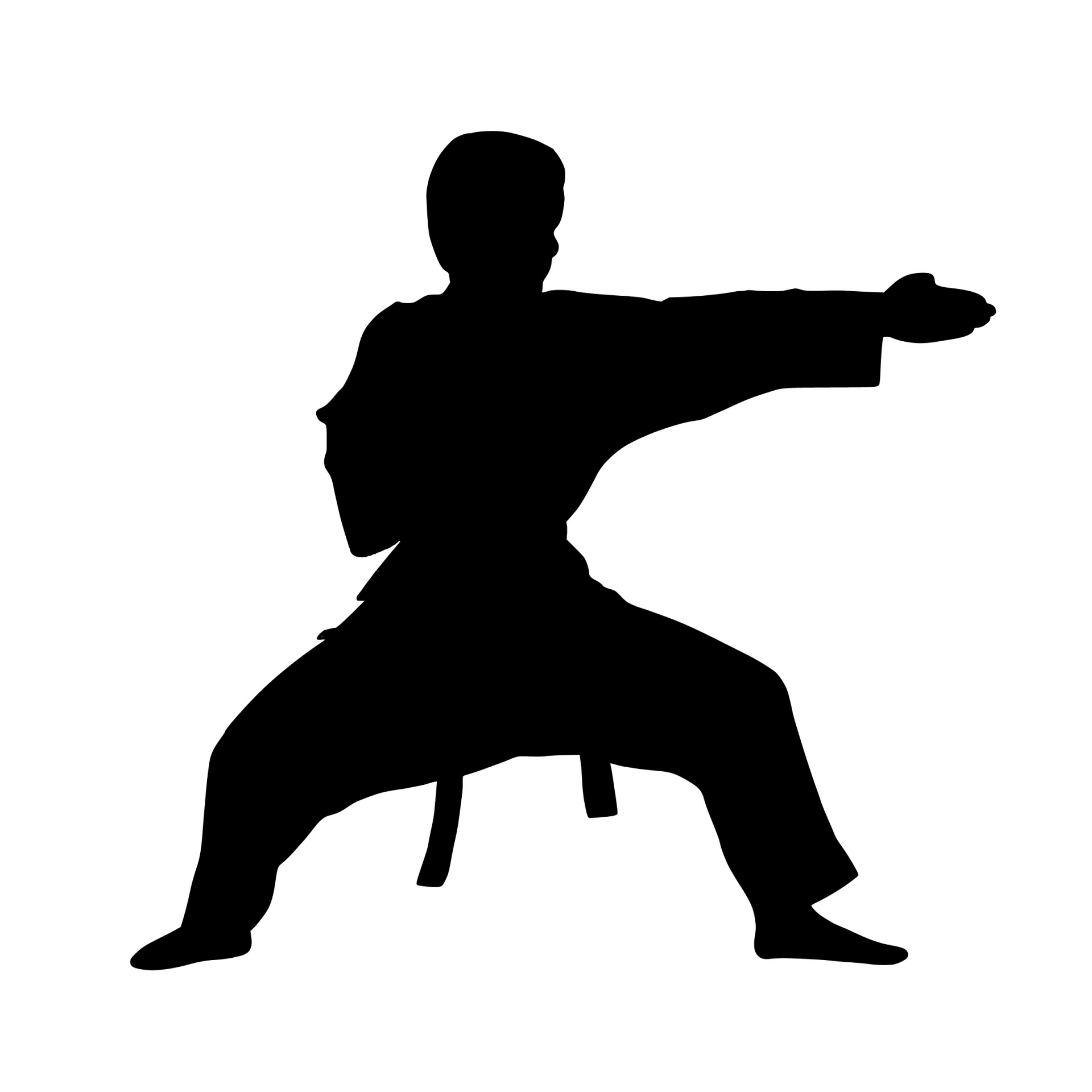 silhouette, karate, fight, strong, kimono, ready, action, active, stand, aikido, angry, athlete, attack, belt, male, fighter, man, sports, isolated, training, motion,
