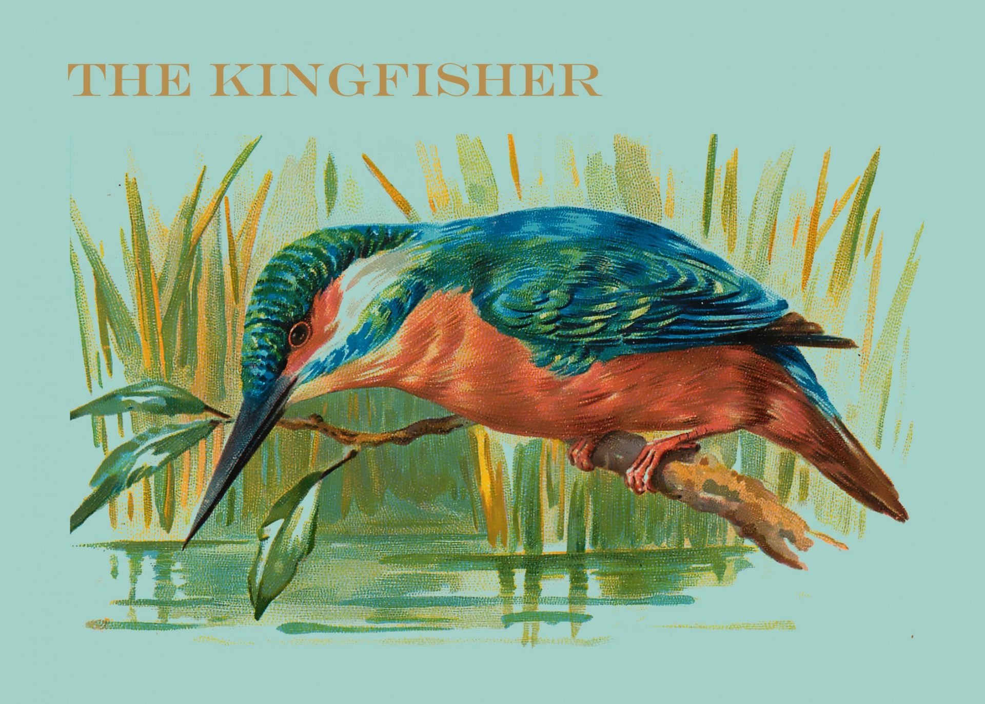 Kingfisher Vintage Painting