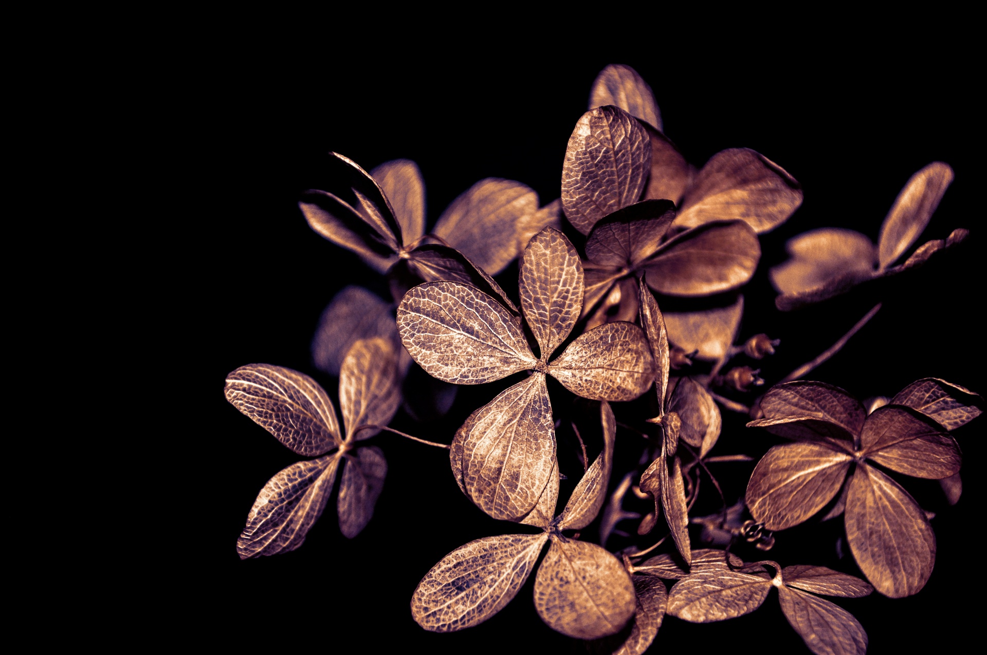 Leaves Metallic Gold
