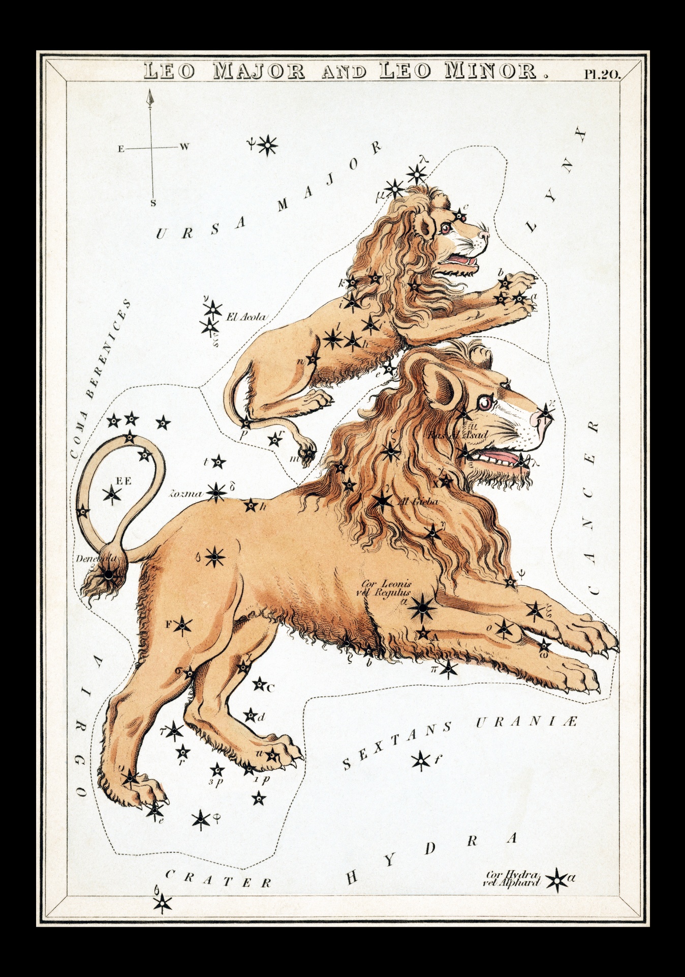 Leo Vintage Zodiac Art Print