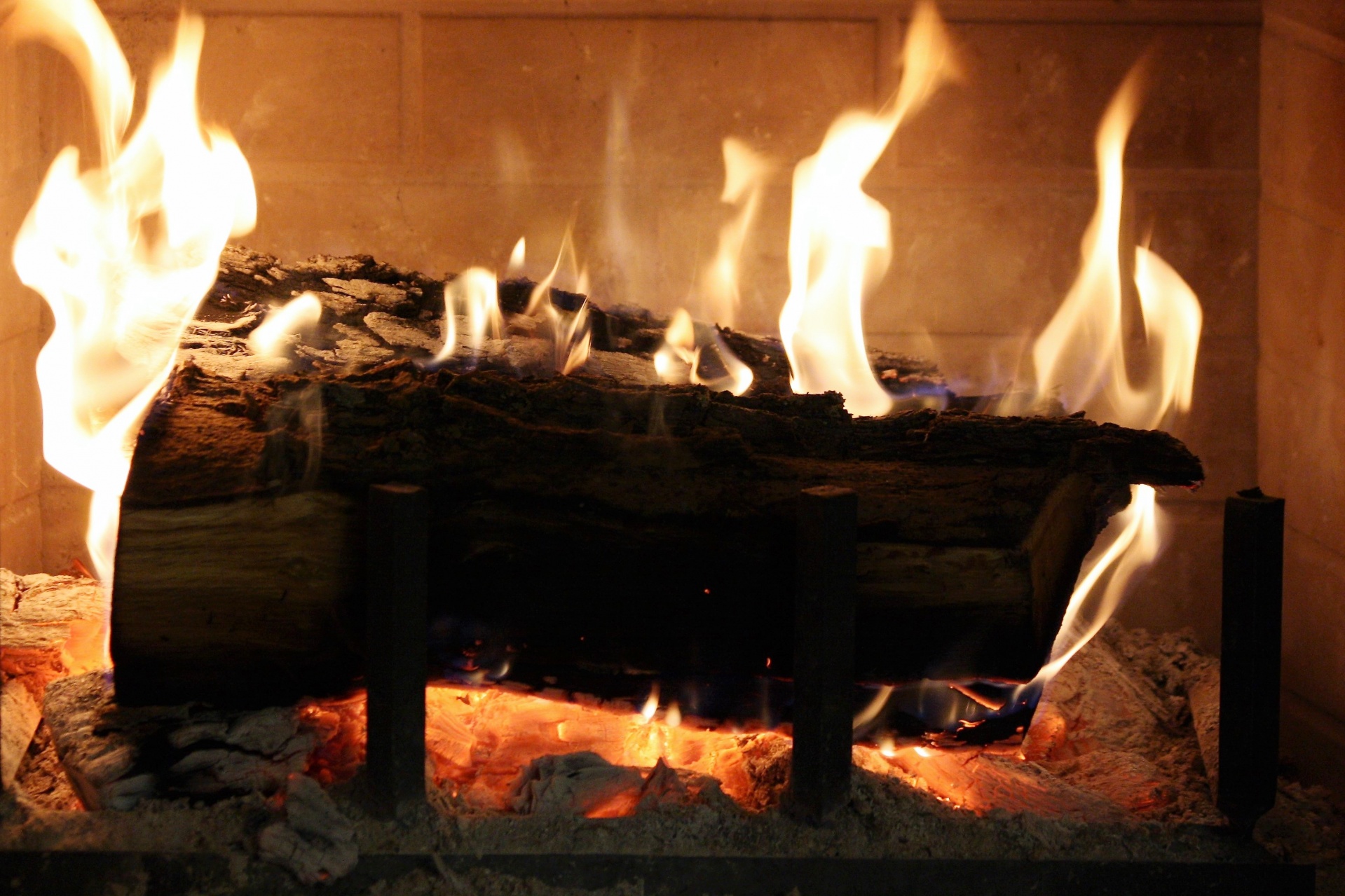 Close-up of logs burning in a fireplace.