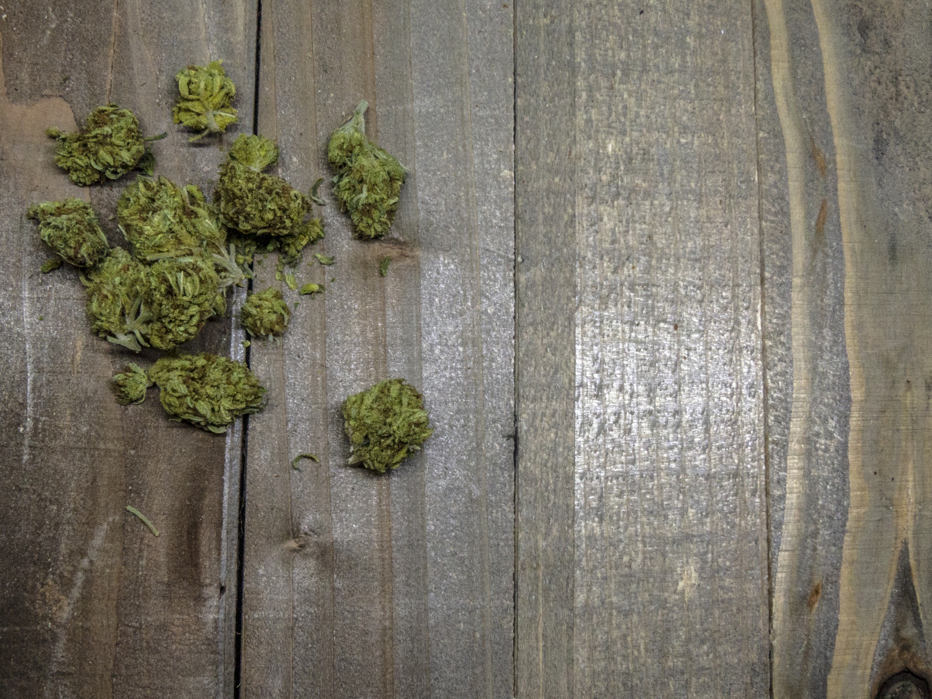 Marijuana Buds And Twigs