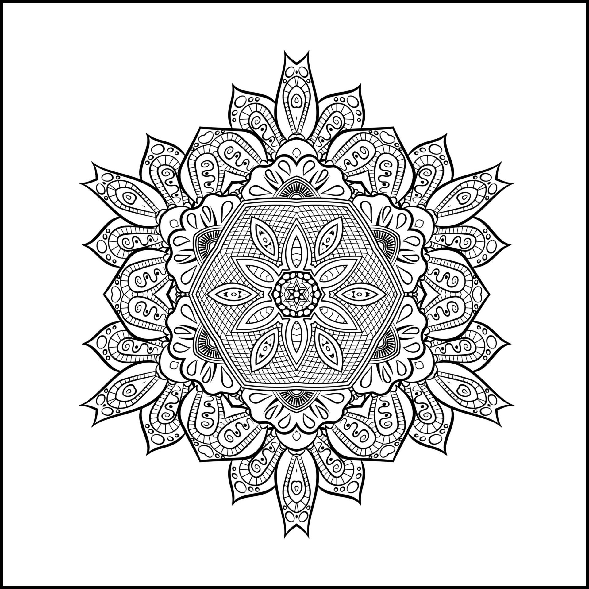 Coloring Page - 14